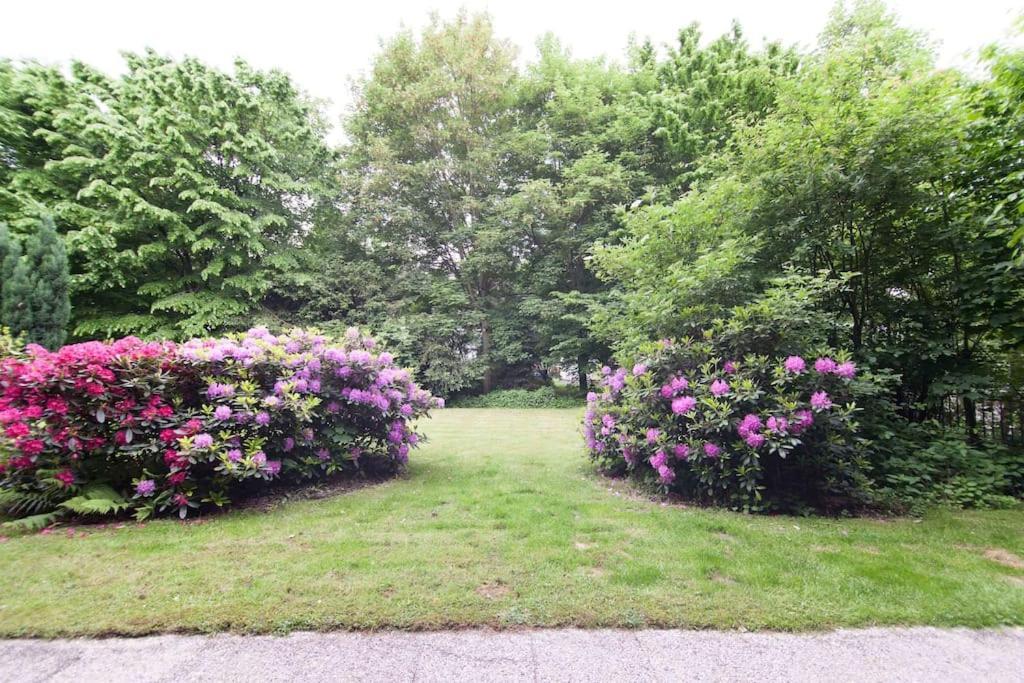 Apartment Quiet Flat With Terrace And Garden Essen