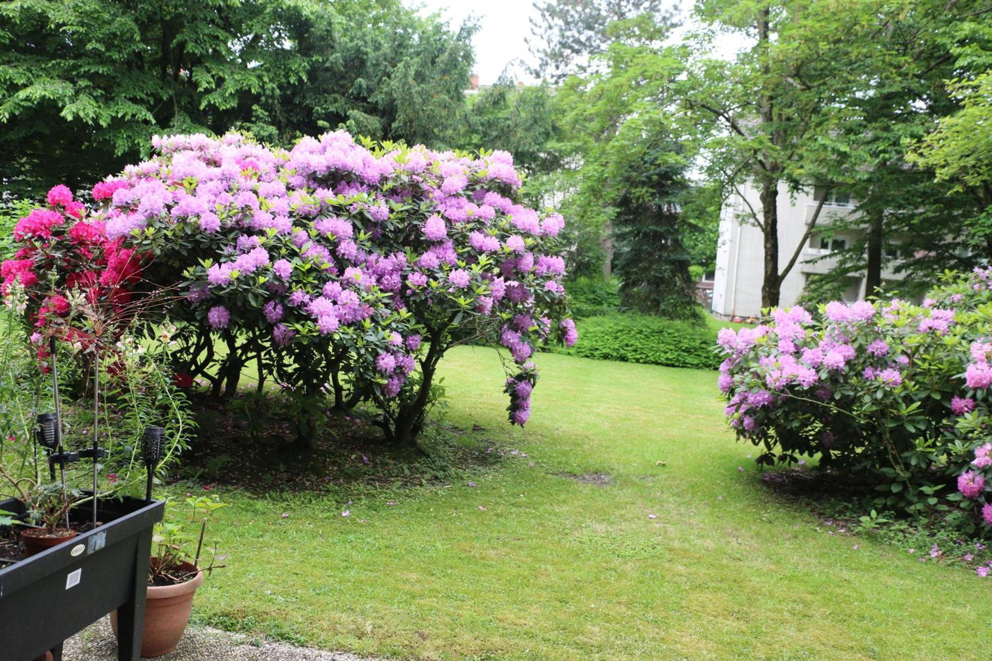 Quiet Flat With Terrace And Garden